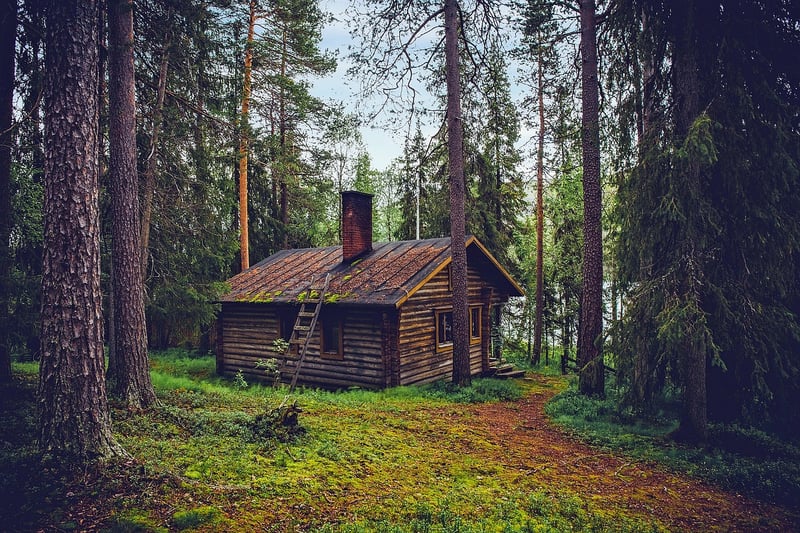 Forest Retreats and Cabin Getaways